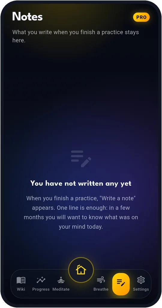 The notes journal